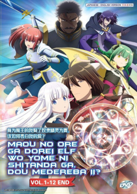 DVD An Archdemon's Dilemma: How to Love Your Elf Bride Vol.1-12 END English Dub