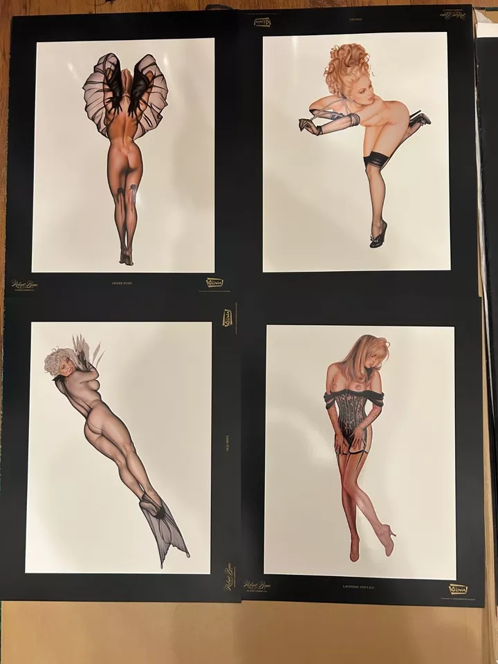 OLIVIA LA COLECCIÓN PIN-UP 1993 ROBERT BANE EDICIONES 12 IMPRESIONES ARTÍSTICAS #2162 Foto 3 de 4