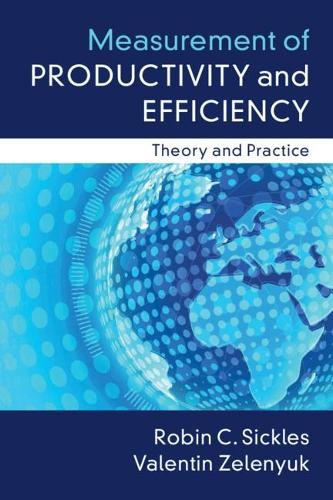 Measurement of Productivity and Efficiency: Theory and Practice - Image 3