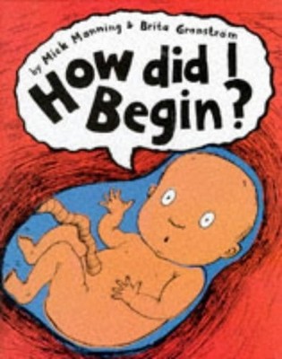 How Did I Begin? by Manning, Mick Hardback Book The Fast Free Shipping