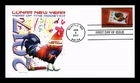 DR JIM STAMPS US COVER LUNAR NEW YEAR OF THE ROOSTER FDC PANDA CACHET