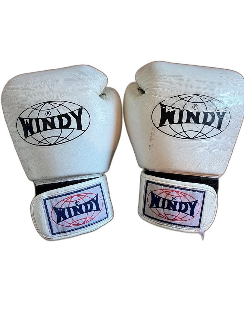 Windy Gloves for sale | eBay