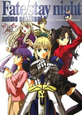Type-moon: Fate/stay night Anime Spiritual (Art Guide Book) Japan