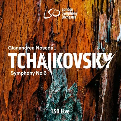 Sinfonie Nr.6/Prelude zu Die Fürsten Chowanski | Noseda/LSO | Englisch | CD
