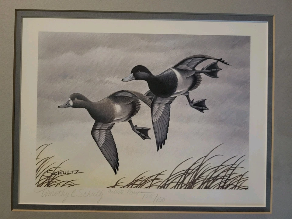 1981 WISCONSIN - State Duck Stamp Print **TIMOTHY SCHULTZ** ARTIST PROOF 125/150 - Image 2 of 4