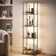 Display Shelf with Dimmable Lights, Lighted Display Cases for Collectibles, Adju