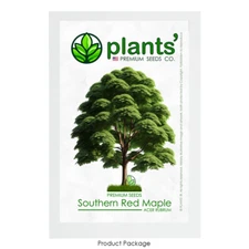 Southern Red Maple Tree | Premium Seeds | Acer rubrum 'Summer' | Plants'®