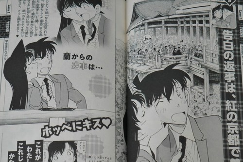 Detective Conan Love + Plus SDS - Super Digest Book by Gosho Aoyama - Picture 10 of 12