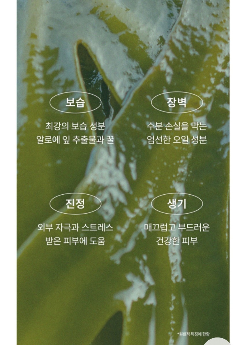 5 SHEETS CELLBN REAL KELP MASK PACK 20ml | eBay