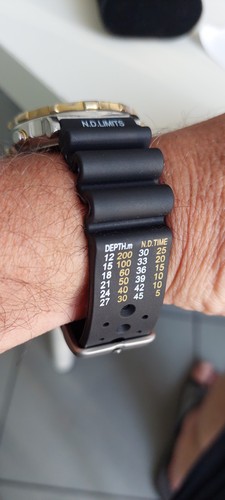 Citizen Promaster Crono mov. 3560 PERFETTO - Imagen 13 de 19