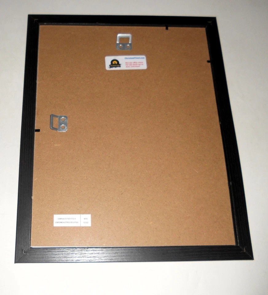 Framed 2011 Bonnaroo Mini-Poster, Eminem, Arcade Fire, Black Keys RARE 14"x17" - Image 3 of 3