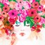 1daydreamer19
