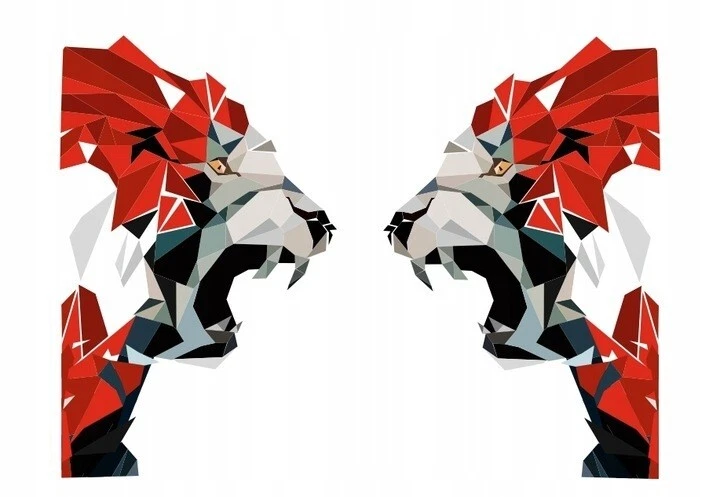 Mann Tgx , TGA Extra Aufkleber für Man Lkw - Set Mit Aufkleber Manchester - Bild 3 von 3