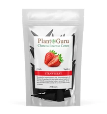 30 Jumbo Charcoal Incense Cones  2" TOPFLOW Bulk For Burner Holder Variety Lot