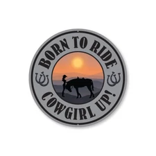 Born To Ride Cowgirl Up Metal Sign