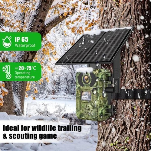 Cámara 4G Trail Solar Vida Silvestre Activada por Movimiento Visión Nocturna Batería Caza UE - Imagen 6 de 11