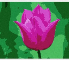 Tulip Up Close Needlepoint Kit or Canvas (Floral/Flower/Nature)