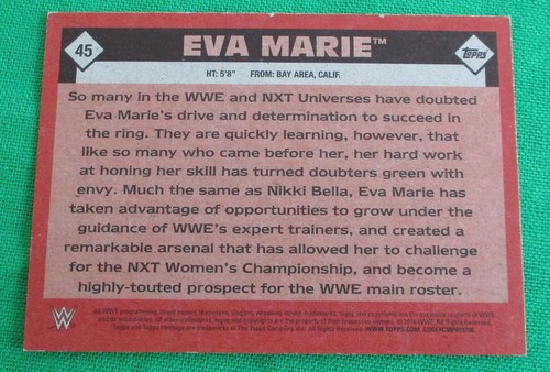WWE Mujeres Tarjetas Coleccionables Lucha Diva Luchadora Elige Tu Favorito - Imagen 29 de 57