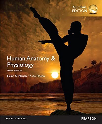 Human Anatomy & Physiology, Global Edi..., Hoehn, Katja - 第 1/2 張圖片