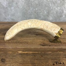 #19968 P | Carved Warthog Tooth Safari Decor For Sale