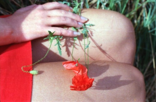 altes Negativ hübsche junge Frau 35mm Modell Nachlass Fotograf ata-HK8-6-13 - 第 1/1 張圖片
