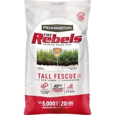 The Rebels 20 lb. 5,000 sq. ft. Tall Fescue Grass Seed Blend 100543730 3.08 per gallon