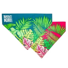 Max & Molly Bandana for Cats & Dogs (Tropical) - Large