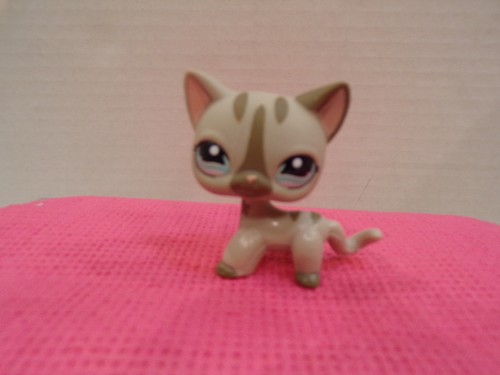 Littlest Pet Shop🐱#468~Flower Eye~#792~Flower Eyes~Stripe Tail~#1206~Dot Eyes - Picture 8 of 10