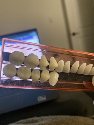 280Pcs False Teeth Acrylic Resin Denture Replacement Fake Teeth 10 Sets DIY