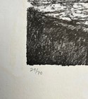 Picture 5 of 6