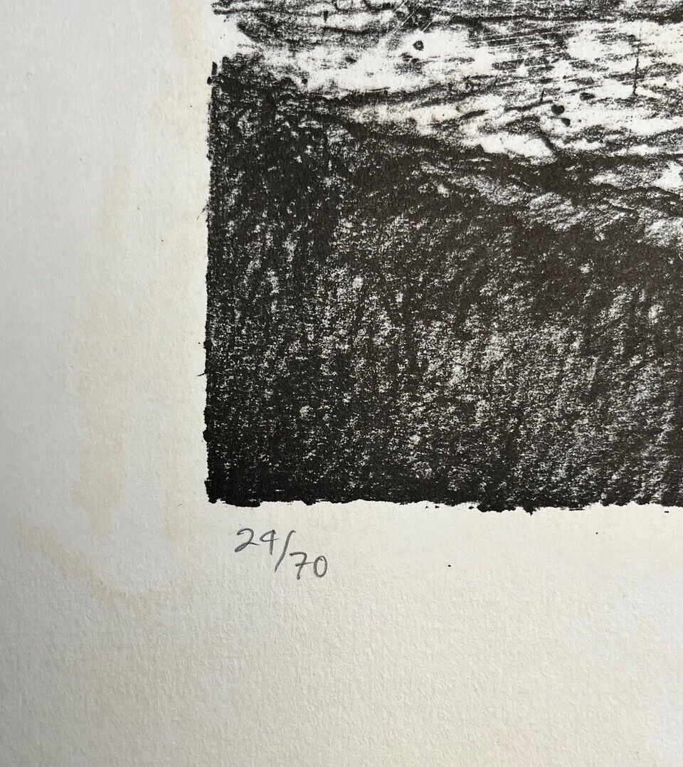 Picture 5 of 6