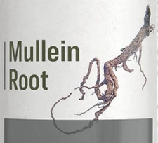 MULLEIN ROOT - Healthy Urinary Tract Support Diuretic Herb Extract Tincture USA
