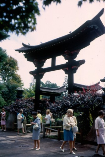 28 vtg 35mm slides 1968 San Francisco California conservatory gardens seal rock - Picture 22 of 24