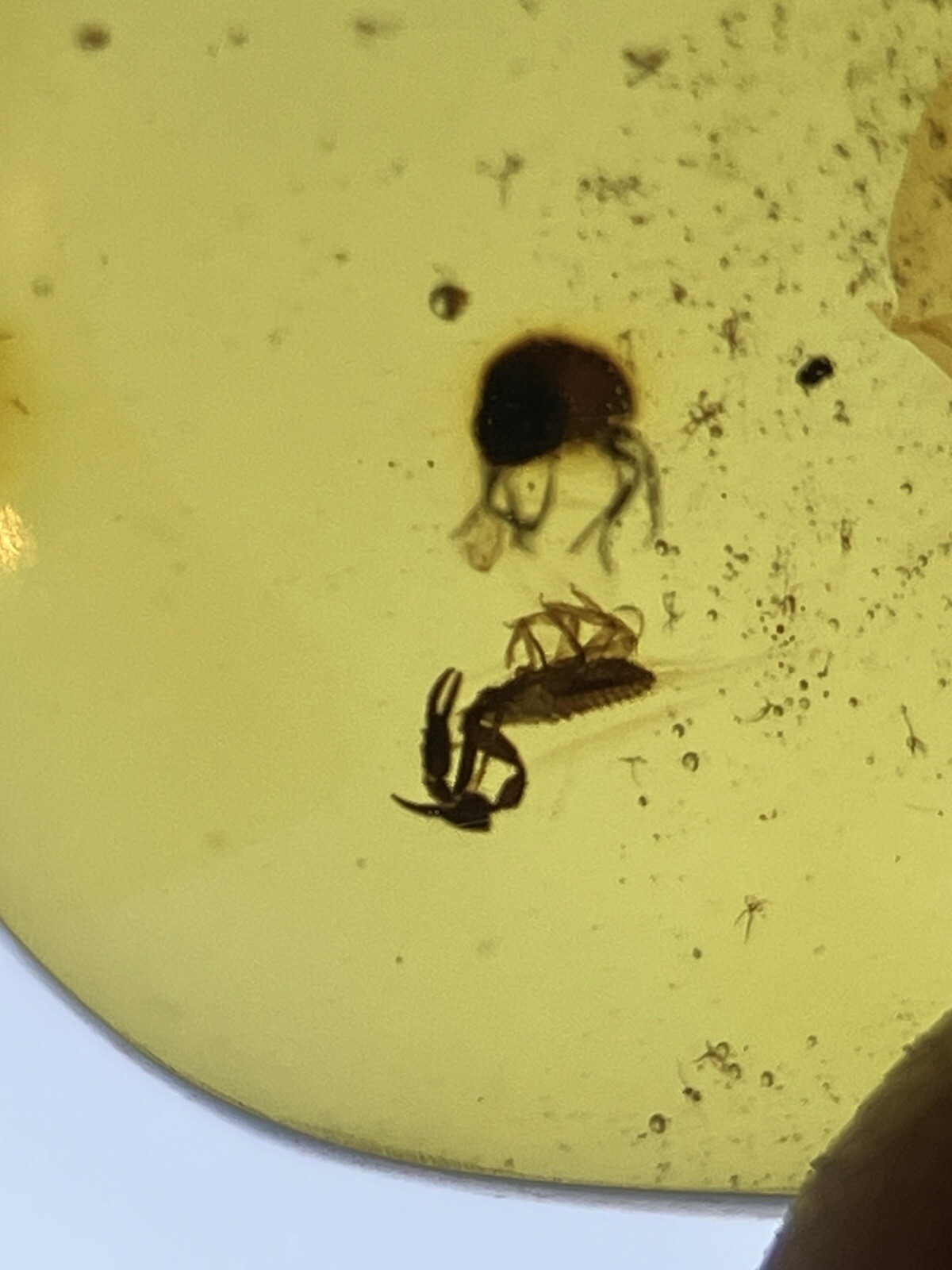 Picture 1 of 6