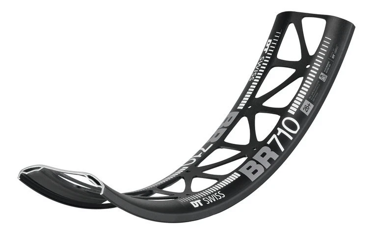 SON 28 15 150 Nabendynamo Vorderrad für Fatbike + DT-Swiss Felge BR710 Big Ride - Bild 2 von 2