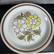 Imperial Stoneware SUMMERTIME H-1001 COUNTRYSIDE H-1000 Dinner Plates (4)