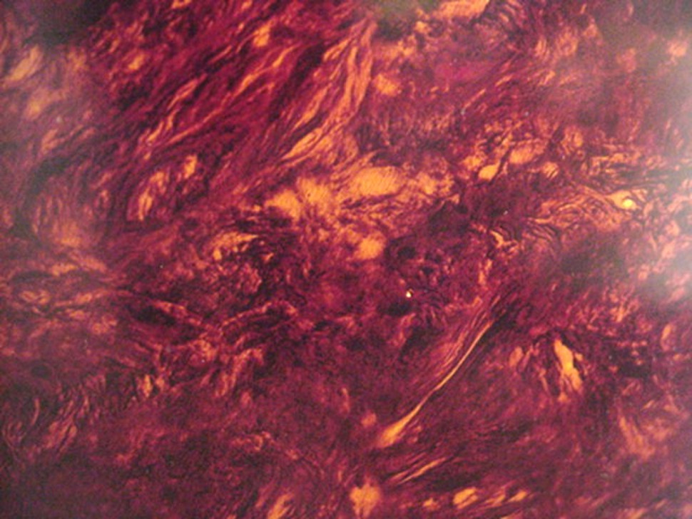 Bild 3 von 3