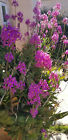 Bild 9 von 12