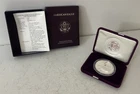 1993-P American Eagle 99.9% Silver One Dollar Proof Coin in Box One Troy Ounce