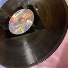 Foto 5 di 10