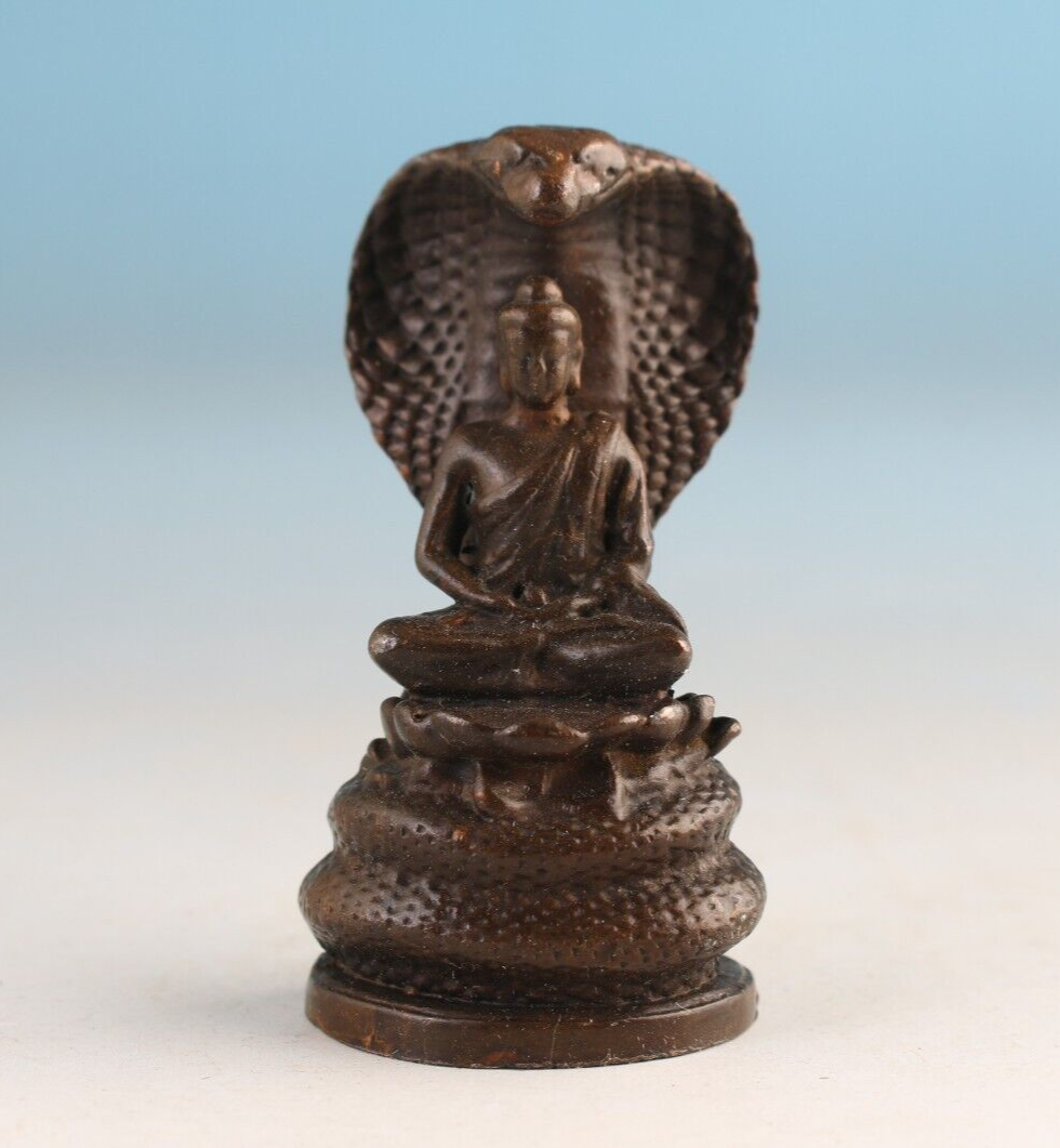 Blessing China copper snake Statue Collect figure art gift blessing home decor