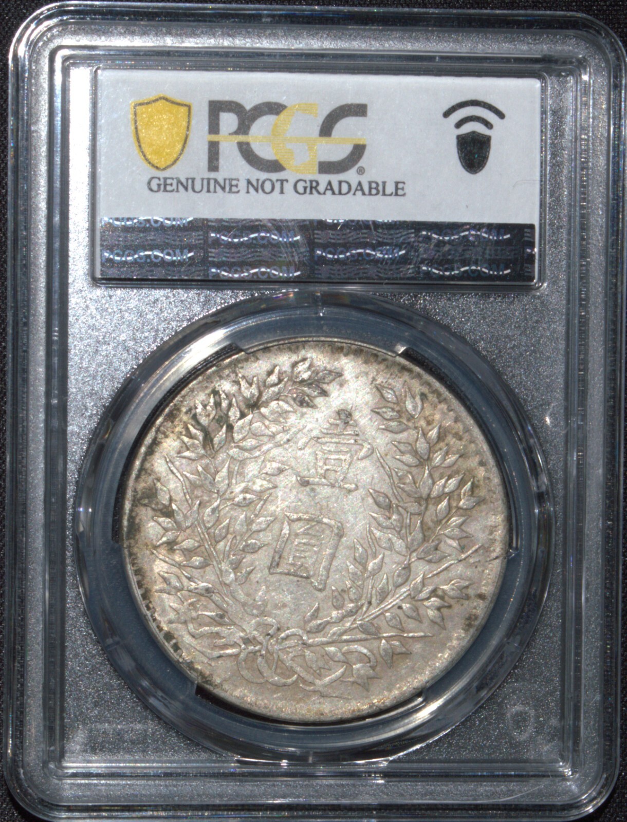 Picture 4 of 6