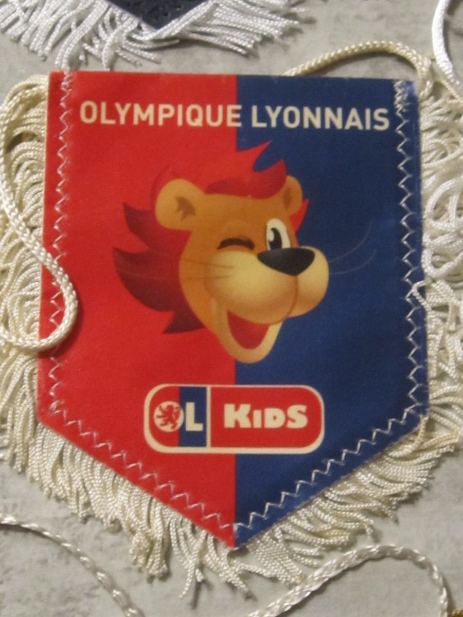 ANCIEN GRAND FANION )) U.S. ARRADON FOOTBALL BRETAGNE EUR 9,50