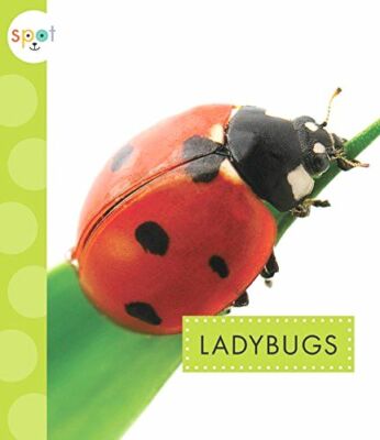 Ladybugs (Spot)