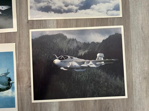 Grumman C29A TBF Avenger F4F Wildcat E2C Hawkeye EA6B Prowler A6E Tram F14 Tomb - Picture 7 of 16