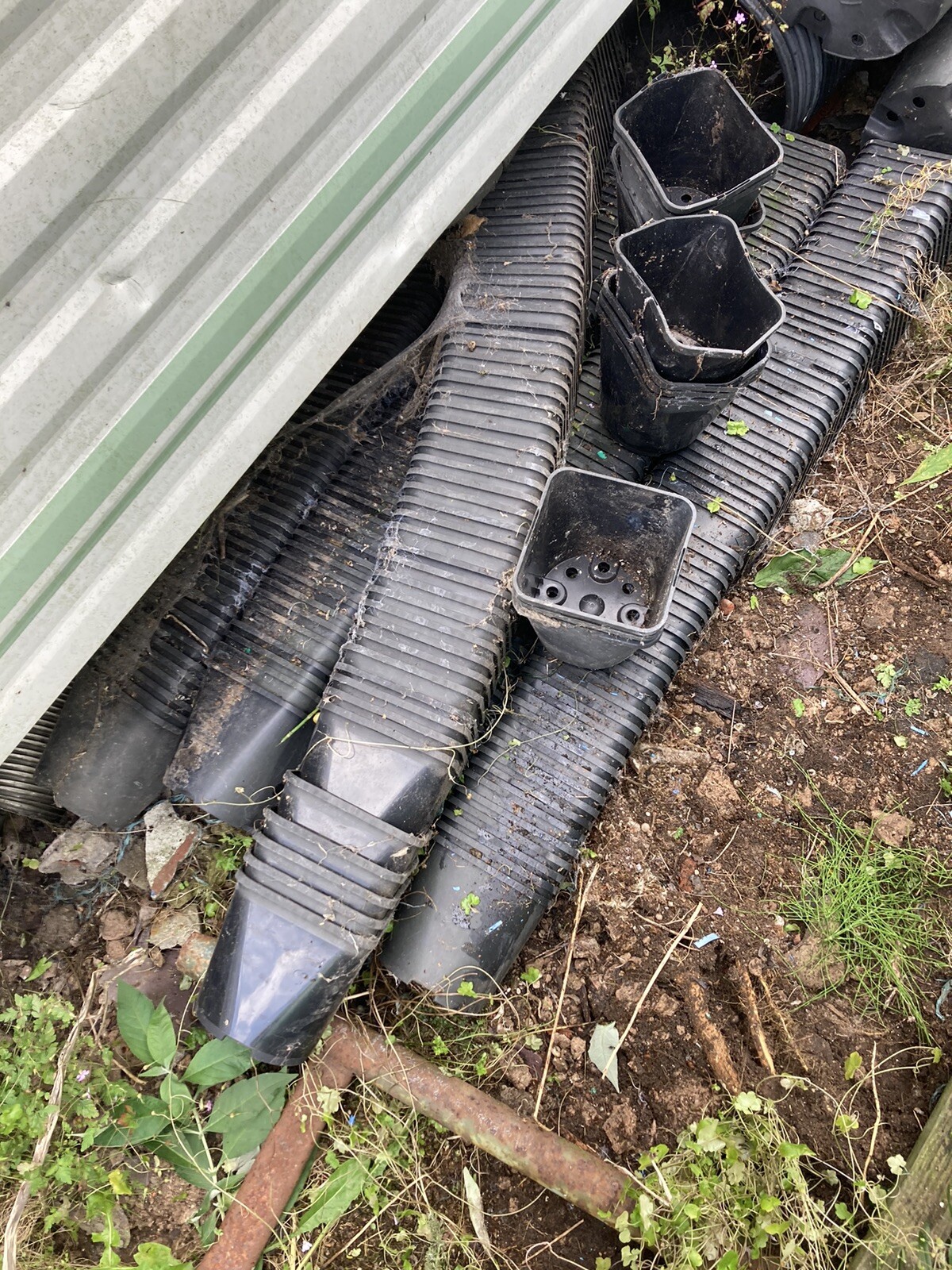 JOB LOT Plant Pots 2litre and 12 Litre Sizes Might Sell Separately eBay