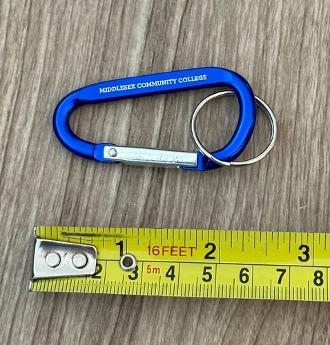 Carabiner Keychains PICK & CHOOSE Design Keychain Keyring Apple Compass - 第 35/37 張圖片
