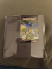 Teenage Mutant Ninja Turtles - TMNT - Nintendo - NES - Vintage Video Game
