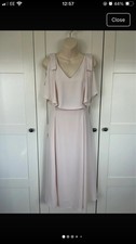 Stunning Blush pink Coast Dress