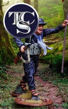 VIETNAM WAR VIET CONG THE COLLECTORS SHOWCASE CS01164 FREE USA SHIPPING 